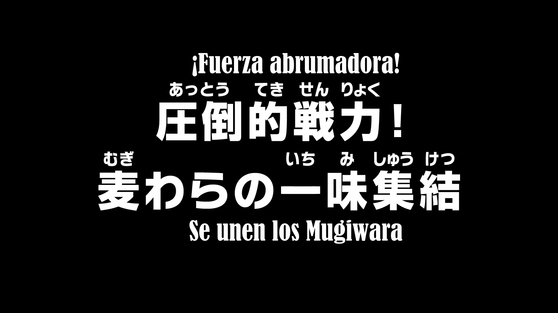 One Piece Ep.1000