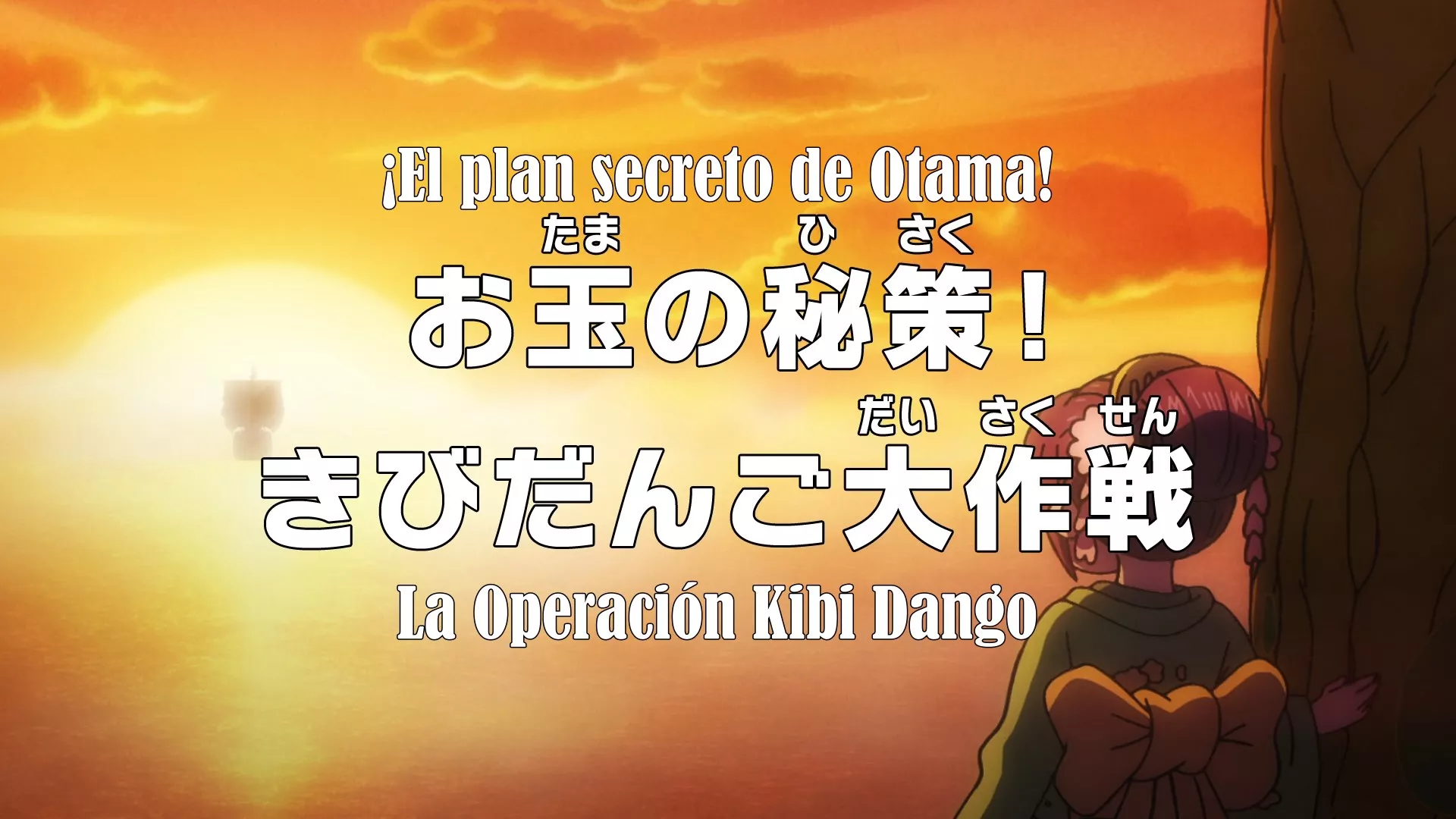 One Piece Ep.1019