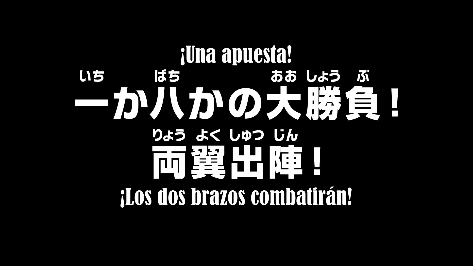 One Piece Ep.1046